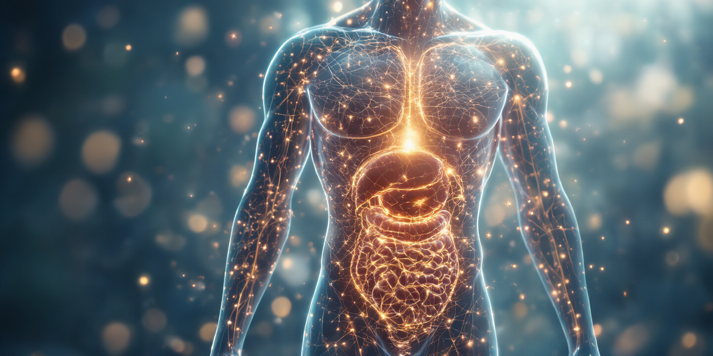 Check-up anual: Prevenção e saúde duradoura